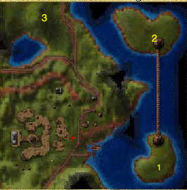 tforest.jpg